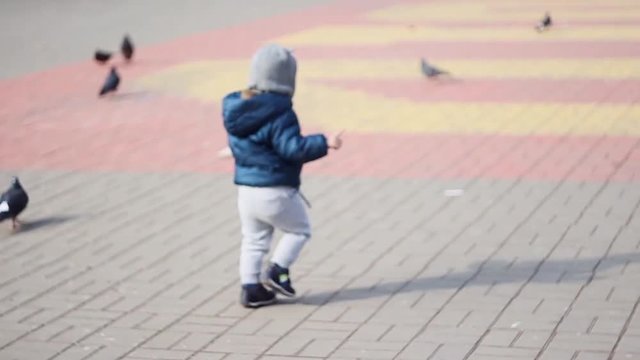 Little cute caucasian boy walks on the city square with pigeons on background.