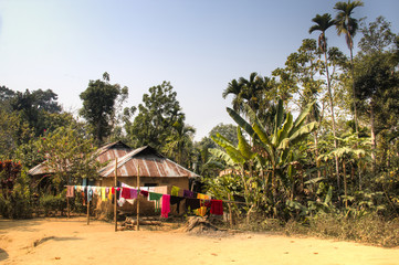 Village in the famous Lawacharra national park in Srimangal in the Sylhet division of Bangladesh
