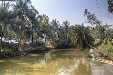A small pond in Bagerhat, Bangladesh
