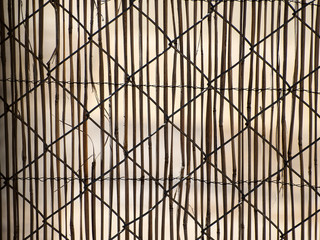 Texture of a metallic fence with bamboo canes