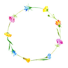 Wreath of a bluebell, grass, tansy and floral. Garland of a meadow herbs.Watercolor hand drawn illustration.