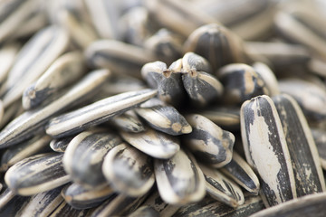 A handful of pipes