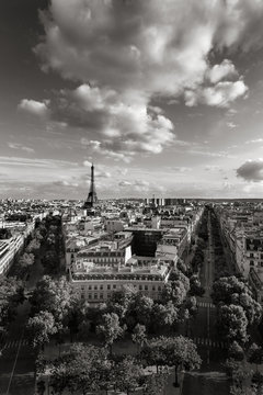 Fototapeta The Eiffel Tower and tree-lined Paris avenues with Haussmannian buildings (Avenue d'Iena and Avenue Kleber). Black & White. France