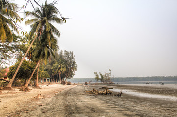 Naklejka premium Beach in the Sundarbans national park, famous for its Royal Bengal Tiger in Bangladesh 