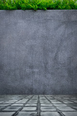 Concrete wall or marble wall and concrete floor with ornamental plants or ivy or garden tree for background.