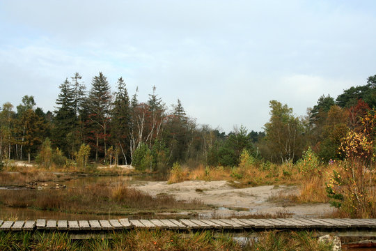 Red Bach, Rode Beek in Brunssum