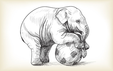baby elephant playing football, sketch and free hand draw illustration vector