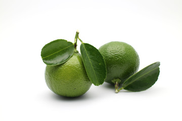 Green Lime