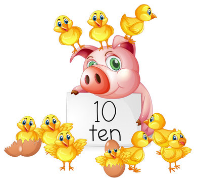 Counting number ten with pig and chicks