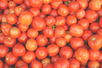 Close up tomato background