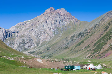 Fototapeta premium Nomad camp in Kyrgyzstan