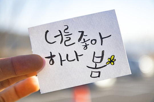 fingers hold the korean language calligraphy : " I seem to like you"