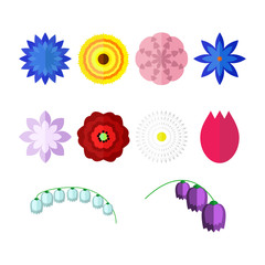 Vector flowers isolated on white background. Set of colorful floral icons in flat style.