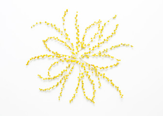 Flower composition made of yellow branches on a white background