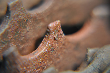 Marco photo of gear tooth rusted