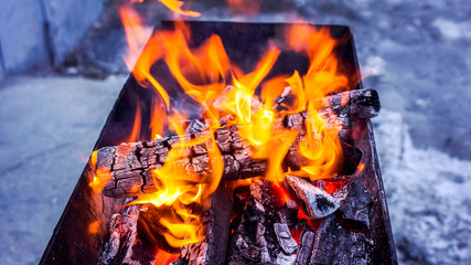 Wood burning in the brazier. Preparation for cooking barbecue.