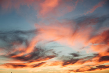 Beautiful red sunset over the field and forest