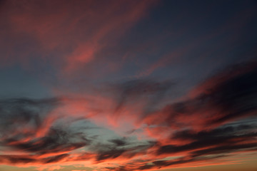 Fototapeta premium Beautiful red sunset over the field and forest