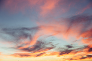 Beautiful red sunset over the field and forest
