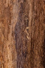 wooden background