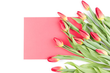 Spring tulip flowers and red paper card on white background.