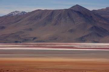 Colourful Laguna Colorada on the Altiplano high plateau, Bolivia