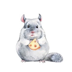Chinchilla and cheese. Watercolor illustration, hand-drawn cute mouse