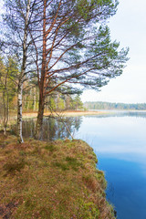 Lake bog with trees at the waters edge