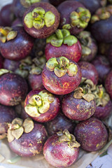 Purple mangosteen