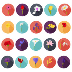 Fototapeta na wymiar Set of different flowers color flat icons for web and mobile design