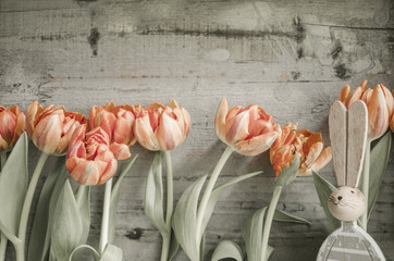 Tulpen vor Holz mit Osterhase
