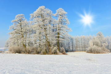 Beautiful winter landscape