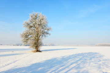 Beautiful winter landscape