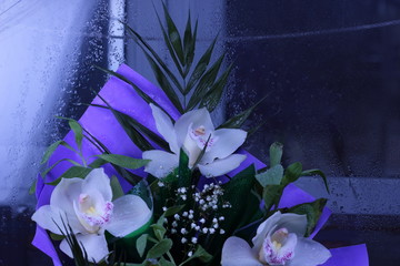 Orchid of a flower bouquet.
