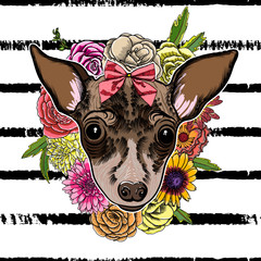 Vector close up portrait of Toy Terrier dog wearing red bow in the floral frame. Bright Hand drawn domestic pet doggy illustration. Isolated on black grunge background with black stripes.