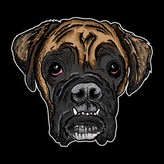 Portrait of  a dog on black background. Hand drawn puppy illustration. T- shirt and tattoo doggy concept design in black and color. Vector.
