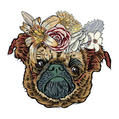 Small cute Pug puppy wearing a flower crown on white background. Grumpy doggy portrait. Vector illustration.