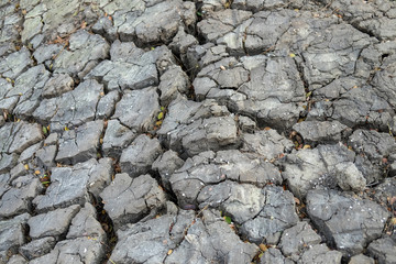 Dried and cracked earth background