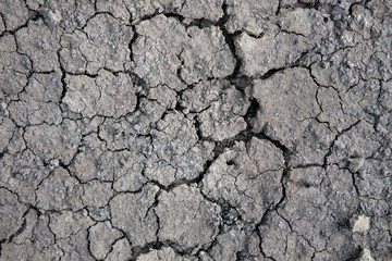 Dried and cracked earth background