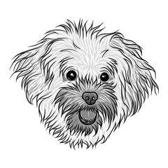Small, cute Bolognese puppy girl. Friendly doggy portrait. Vector illustration.