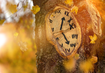 Tree clock