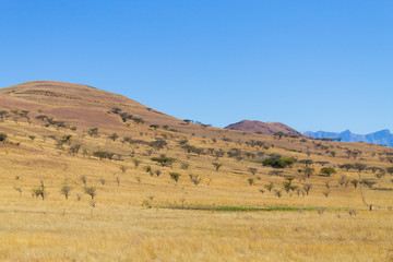 Fototapeta premium Landscape from South Africa, Dragon's mountains