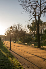 Fototapeta na wymiar Scenic city park in the morning time