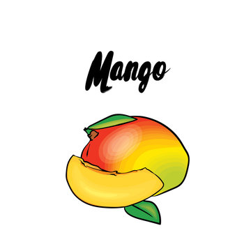 A beautiful mango. Vector illustration. Tropical fruits.