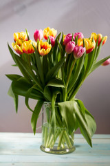 Colorful tulips in glass vase. White background.