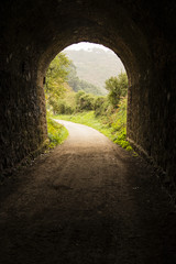 Tunnel in a turistic path in Asturias (North Spain)