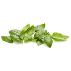 Sweet basil herb leaves handful isolated on white background closeup