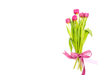 bouquet of fresh pink tulips on white background