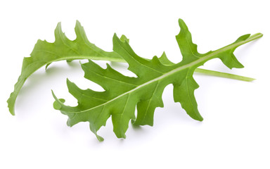 Fototapeta premium Close up studio shot of green fresh rucola leaves isolated on white background. Rocket salad or arugula.