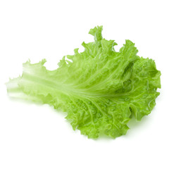 fresh green lettuce salad leaves isolated on white background